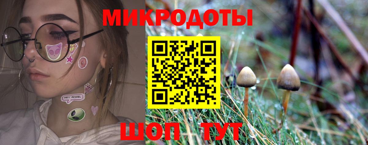 Псилоцибиновые грибы ЛСД  купить наркотик  Вход с VPN  Тайшет  Псилоцибиновые грибы ЛСД 